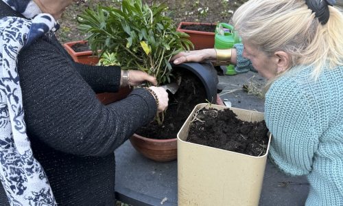 Les jardiniers de la Maison de la Bièvre 🪴🪻 🌺🌻