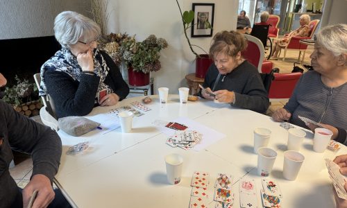 Les rôles s’échangent, les résidents apprennent aux salariés le rami 🎲♟️