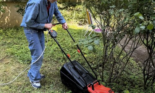 Les jardiniers de la Maison de la Bièvre 🪴🪻 🌺🌻