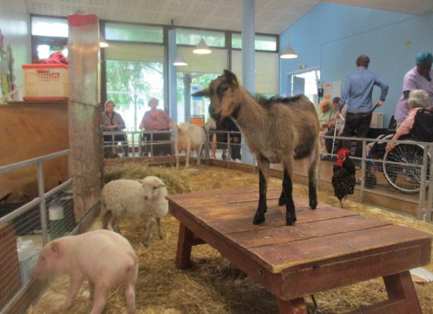En Juin, La Ferme à la Maison des Poètes