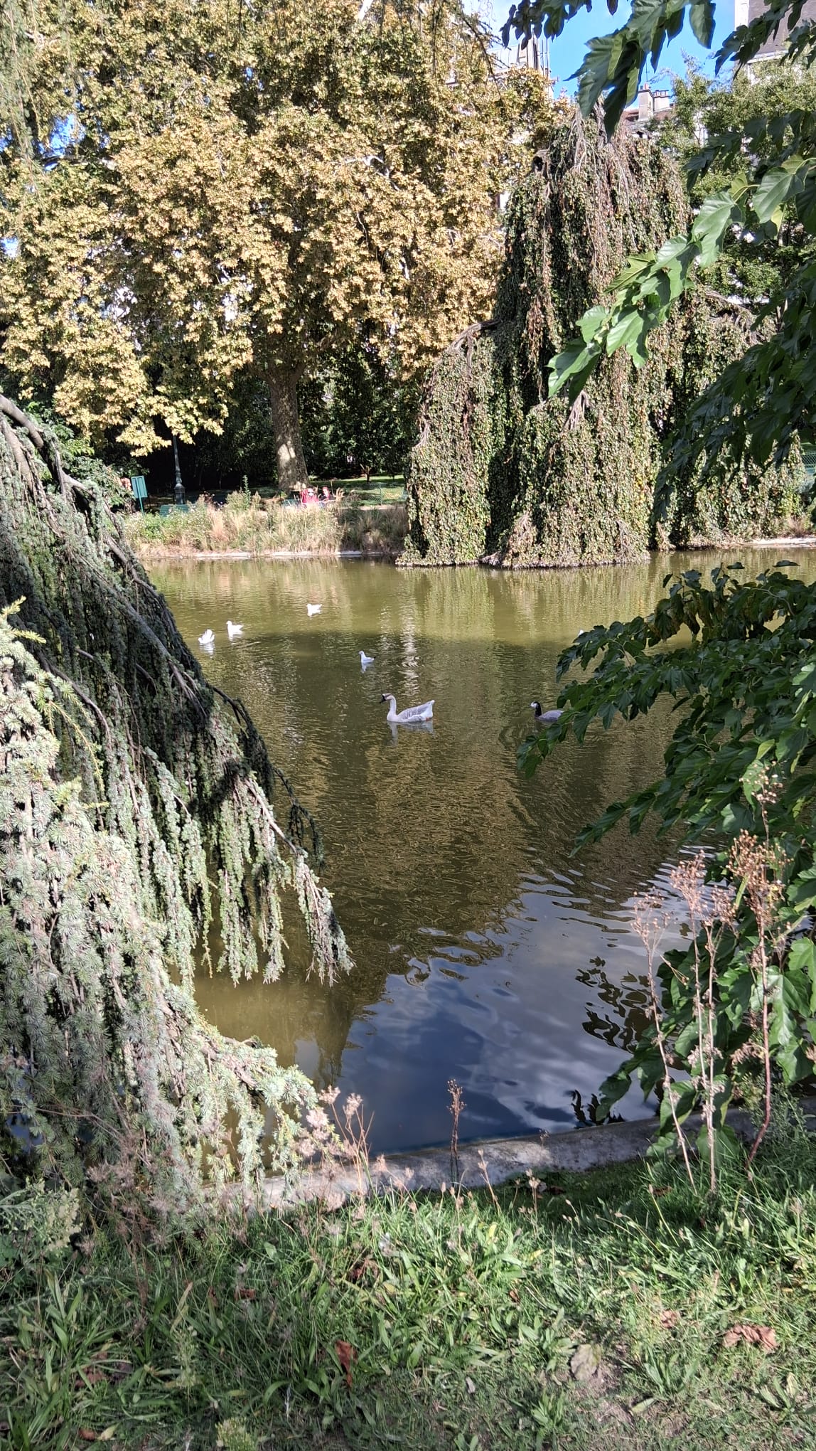 Sorties octobre 2025 – CAJ Les Portes du Sud