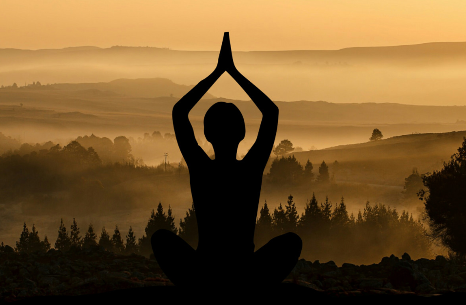 Détente , énergie , équilibre et respiration : les matinées conviviale ”Tai-chi Chuan et Qi Gong” destinées aux aidants